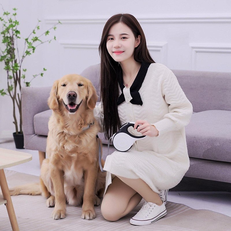 Dog Leash Chest Harness Automatic Retractable - Image 3
