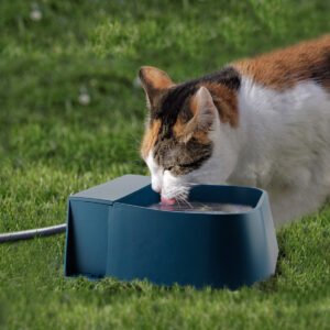 Floating ball type automatic water storage drinker