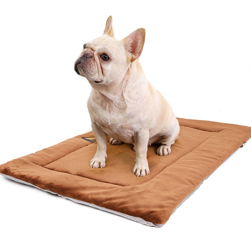 French bulldog sitting on the brown self-warming pet mat