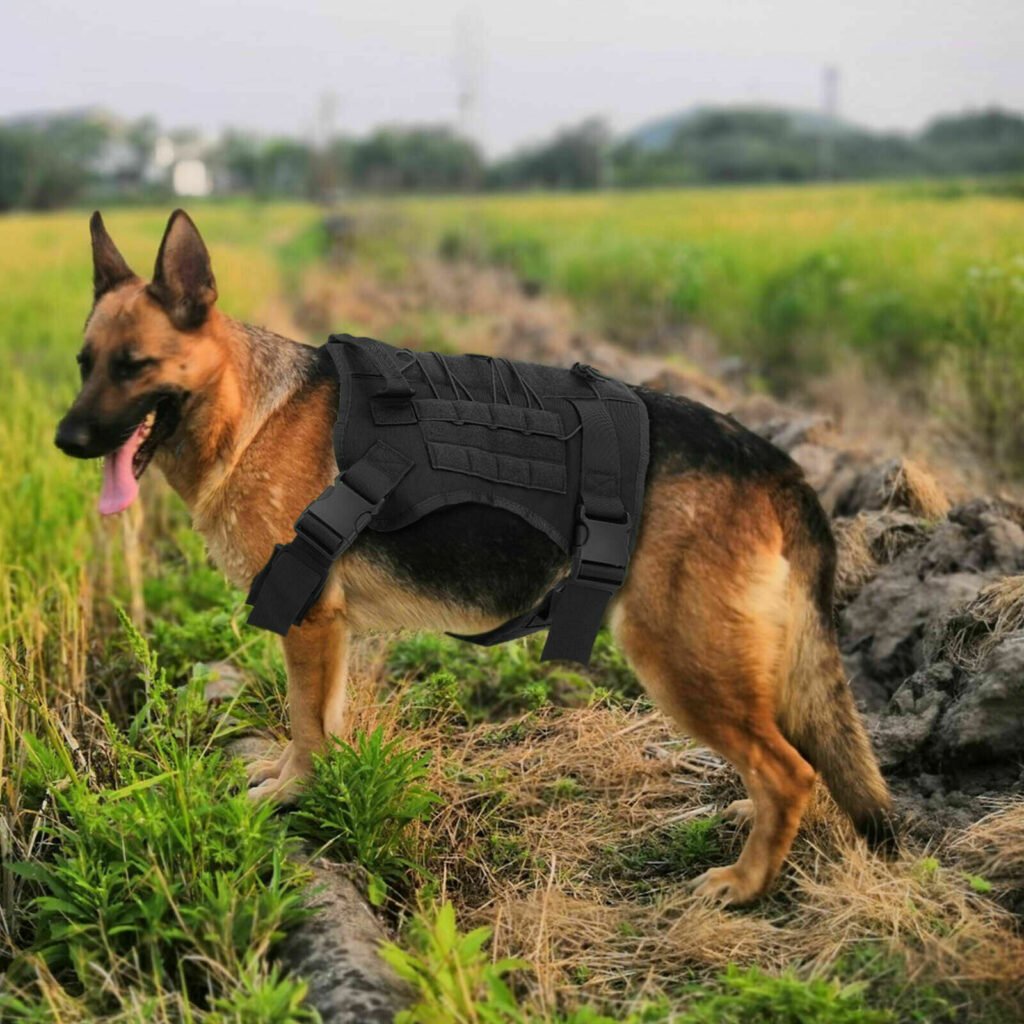 No-pull Dog Harness Pet Puppy Large Dog Vest Adjustable Padded Handle L Size AU-black