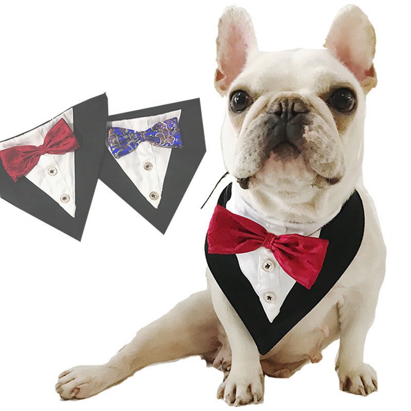 Patterned Dog Bandana - Blue Bowknot