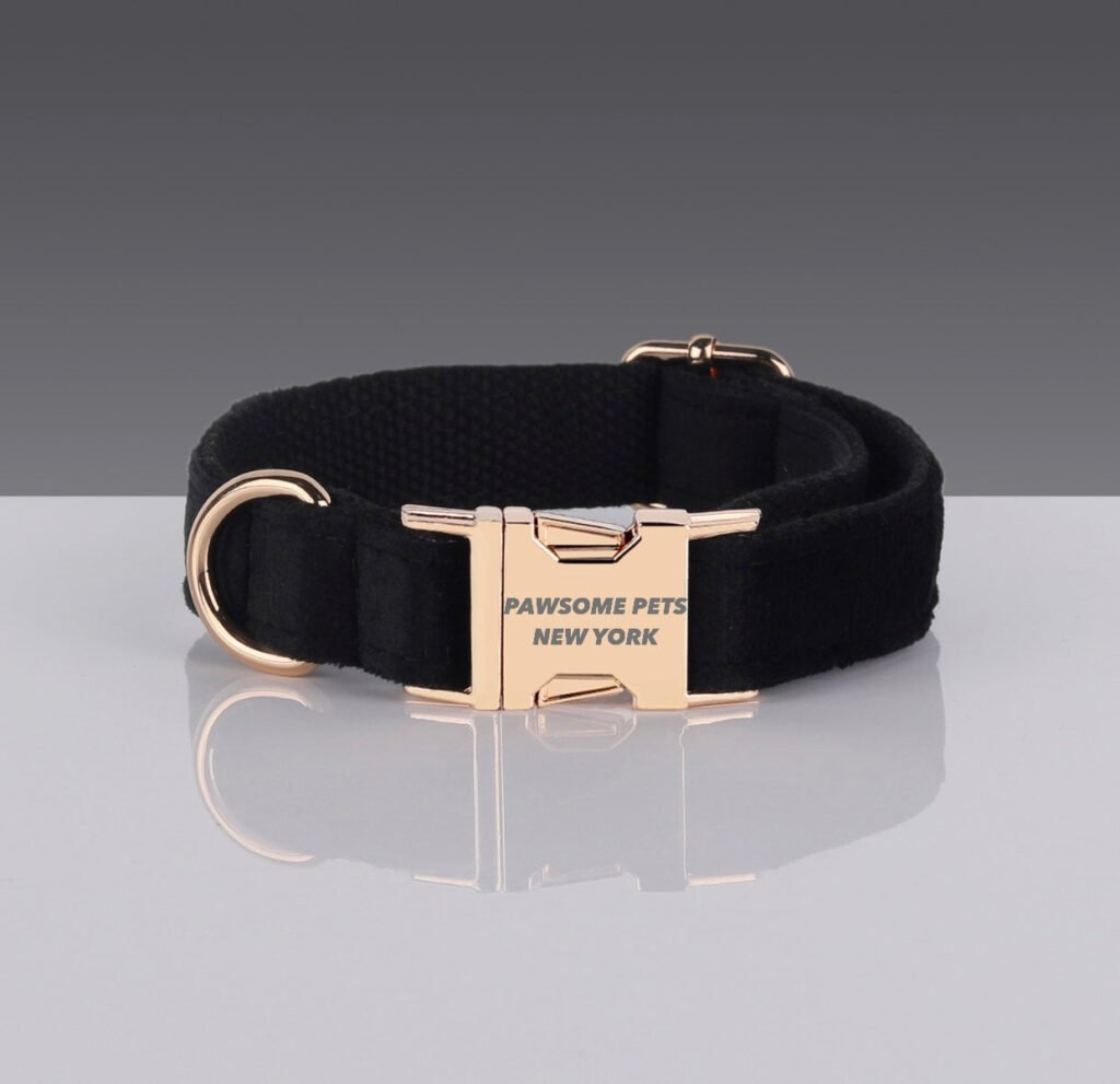 Pawsome Dog Collar - #9