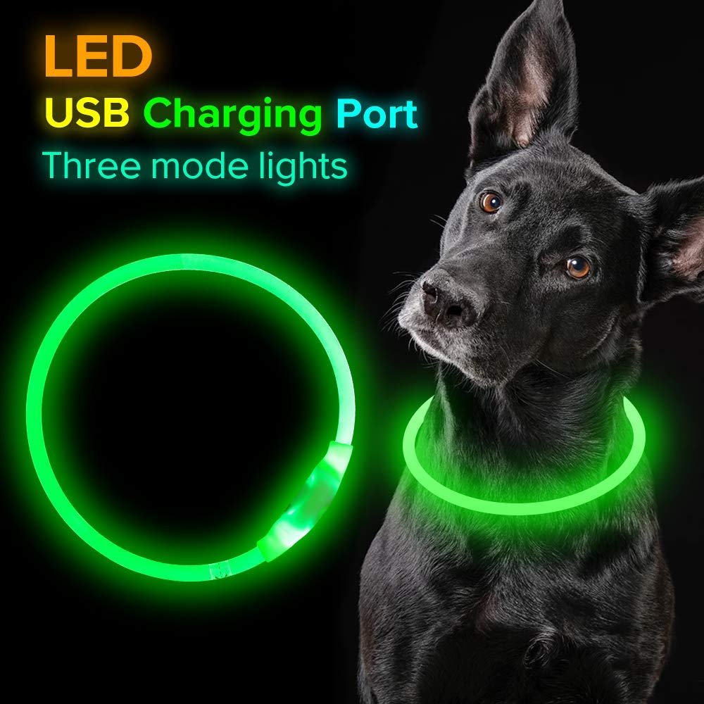 USB Rechargeable LED Dog Collar - Blue, 50cm