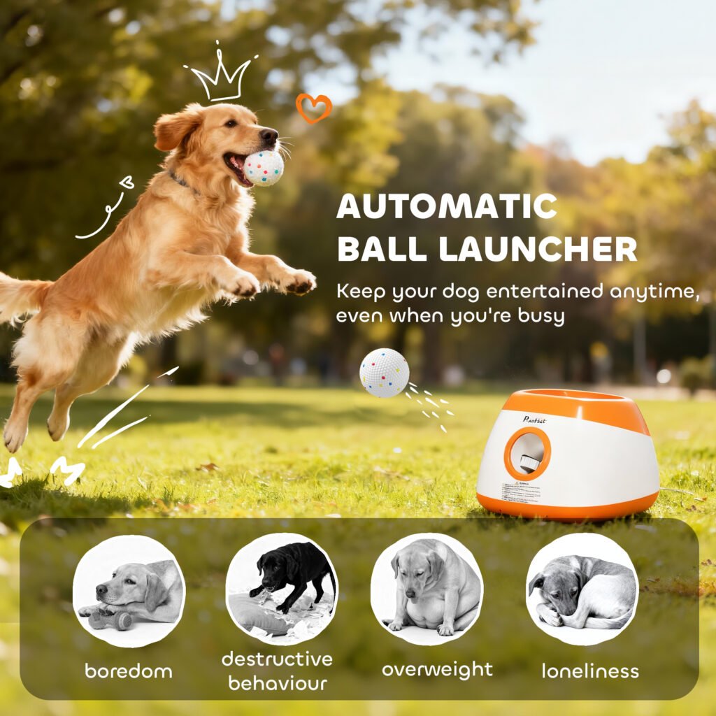 Automatic Ball Launcher
