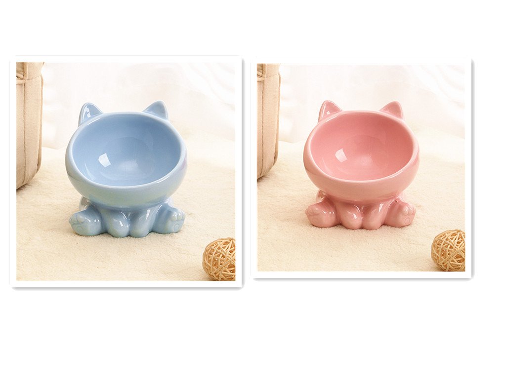 Ceramic Tilted Food & Water Bowl
