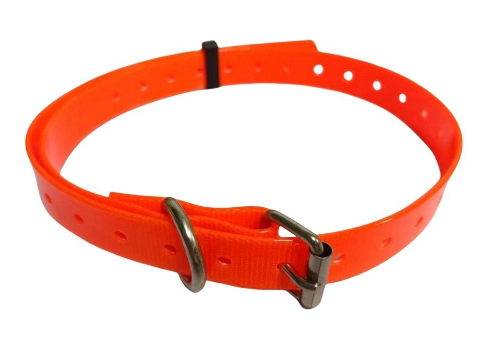 Classic Everyday Dog Collar