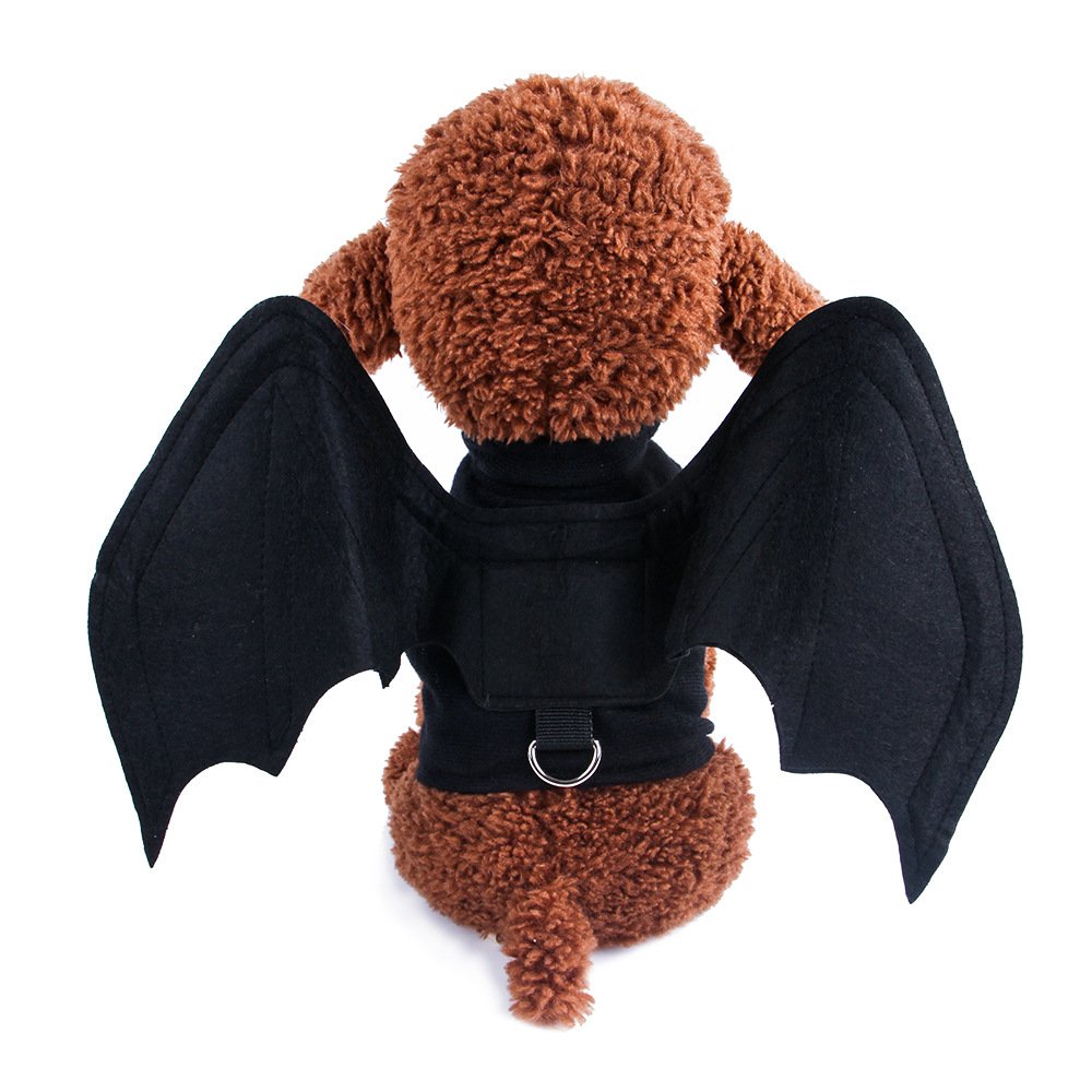 Bat wings dog costume, rear view on a brown poodle