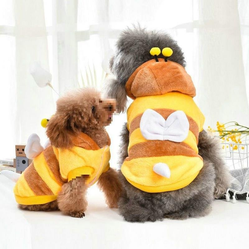 Yellow and black striped bumblebee dog costumes with wings and antennae, worn by two small dogs